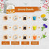 Bombay Greens  Sow Grow Eat Repeat Kit